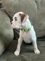 processed/c89a461f-9cf2-41b4-8a1a-70f40246d27d/listing/30f73016-acee-42b3-bbb3-1f1fbfba48c9/9e6e214a-3852-41e5-87e7-9f145f93b6a4