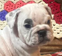 processed/c89a461f-9cf2-41b4-8a1a-70f40246d27d/listing/410d2e46-335d-4d72-bdef-9919f5260383/287de926-0b44-4148-968e-cd555602f669