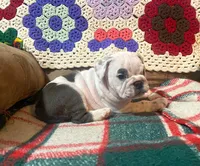 processed/c89a461f-9cf2-41b4-8a1a-70f40246d27d/listing/410d2e46-335d-4d72-bdef-9919f5260383/76ecfba8-43eb-411f-8b18-712fbb768985