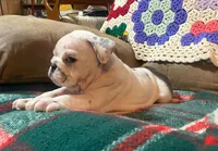 processed/c89a461f-9cf2-41b4-8a1a-70f40246d27d/listing/410d2e46-335d-4d72-bdef-9919f5260383/875fb3d6-2d91-43b9-bd1d-aa524c5b9686