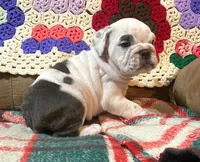 processed/c89a461f-9cf2-41b4-8a1a-70f40246d27d/listing/410d2e46-335d-4d72-bdef-9919f5260383/b664c9f8-bb72-4479-88c4-c74770ebc314