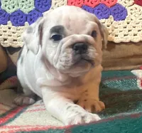 processed/c89a461f-9cf2-41b4-8a1a-70f40246d27d/listing/410d2e46-335d-4d72-bdef-9919f5260383/d04442cd-ec26-4d35-971e-89ce36ff772d