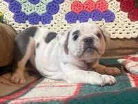 processed/c89a461f-9cf2-41b4-8a1a-70f40246d27d/listing/410d2e46-335d-4d72-bdef-9919f5260383/e0017e6a-b045-45f2-b34e-9ab742e7a7d7