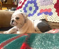 processed/c89a461f-9cf2-41b4-8a1a-70f40246d27d/listing/410d2e46-335d-4d72-bdef-9919f5260383/e5dd19d7-cc4f-43c4-af67-988756955e15