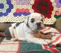 processed/c89a461f-9cf2-41b4-8a1a-70f40246d27d/listing/410d2e46-335d-4d72-bdef-9919f5260383/f6b23716-925a-49ae-8b89-5e1d83e294c0