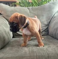 processed/c89a461f-9cf2-41b4-8a1a-70f40246d27d/listing/607e66a5-c3ea-4d17-a972-b3fc859881f2/00bedc4d-d6f9-4ba5-8000-1ae19a400b03