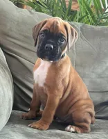 processed/c89a461f-9cf2-41b4-8a1a-70f40246d27d/listing/607e66a5-c3ea-4d17-a972-b3fc859881f2/3f9be437-03cb-4fbe-a34e-fc99d393c204