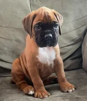 processed/c89a461f-9cf2-41b4-8a1a-70f40246d27d/listing/607e66a5-c3ea-4d17-a972-b3fc859881f2/a8f3a1f1-5f6a-49ff-889d-85fead6f00e2