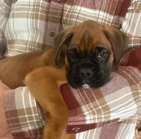 processed/c89a461f-9cf2-41b4-8a1a-70f40246d27d/listing/607e66a5-c3ea-4d17-a972-b3fc859881f2/bf3905b8-8eb9-49ba-ae8a-03be600de0ea