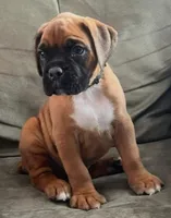 processed/c89a461f-9cf2-41b4-8a1a-70f40246d27d/listing/607e66a5-c3ea-4d17-a972-b3fc859881f2/f7c9ea63-82b9-4f25-8f1c-c19e2aff1bea