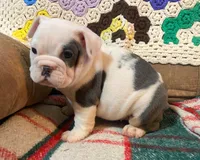 processed/c89a461f-9cf2-41b4-8a1a-70f40246d27d/listing/7ed681f4-a724-41e5-b2e1-ccd861007611/02fae386-5cf9-45c1-8f64-b4b90502cf5e