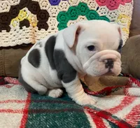 processed/c89a461f-9cf2-41b4-8a1a-70f40246d27d/listing/7ed681f4-a724-41e5-b2e1-ccd861007611/057b0ff3-1185-4a1c-a6ee-cb1cb5d07212