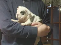 processed/c89a461f-9cf2-41b4-8a1a-70f40246d27d/listing/7ed681f4-a724-41e5-b2e1-ccd861007611/462fe91f-d694-42ce-8a14-c8fd86a7bc52