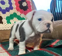 processed/c89a461f-9cf2-41b4-8a1a-70f40246d27d/listing/7ed681f4-a724-41e5-b2e1-ccd861007611/6d6c0d99-acdd-42e5-8fb4-98894581d07b