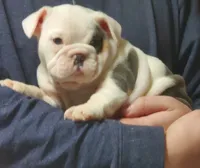 processed/c89a461f-9cf2-41b4-8a1a-70f40246d27d/listing/7ed681f4-a724-41e5-b2e1-ccd861007611/6e373d4d-18de-4a3a-9ecd-70f7140fb9b4