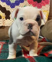 processed/c89a461f-9cf2-41b4-8a1a-70f40246d27d/listing/7ed681f4-a724-41e5-b2e1-ccd861007611/8c6942f8-39c3-4e3e-9fd3-f8a62f61da8b