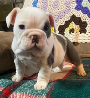 processed/c89a461f-9cf2-41b4-8a1a-70f40246d27d/listing/7ed681f4-a724-41e5-b2e1-ccd861007611/f9914ac9-8514-40a1-a68d-90872aa9f1de