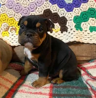 processed/c89a461f-9cf2-41b4-8a1a-70f40246d27d/listing/7f8cfd5a-d8fe-4308-8c65-5186d2adea9f/1ae00cb8-93ef-4491-86c7-026ad2ed4065