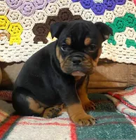 processed/c89a461f-9cf2-41b4-8a1a-70f40246d27d/listing/7f8cfd5a-d8fe-4308-8c65-5186d2adea9f/58f654e2-4167-4669-b2dd-0bc3e38ac16c