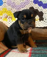 processed/c89a461f-9cf2-41b4-8a1a-70f40246d27d/listing/7f8cfd5a-d8fe-4308-8c65-5186d2adea9f/95ee75b8-f6a1-48e8-ae67-9400fcba8b5d