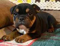 processed/c89a461f-9cf2-41b4-8a1a-70f40246d27d/listing/7f8cfd5a-d8fe-4308-8c65-5186d2adea9f/9bd90790-cb15-4a62-a21e-5b469cb59854