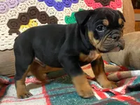 processed/c89a461f-9cf2-41b4-8a1a-70f40246d27d/listing/7f8cfd5a-d8fe-4308-8c65-5186d2adea9f/abbbb6bc-c001-4a5a-976e-d62bc1022232