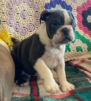 processed/c89a461f-9cf2-41b4-8a1a-70f40246d27d/listing/8125d6fc-fe77-48e3-9921-7f0254dc85c9/10a0d70a-55d1-43f4-ad57-83a124d1a267