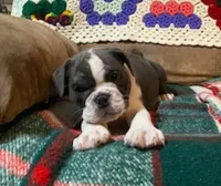 processed/c89a461f-9cf2-41b4-8a1a-70f40246d27d/listing/8125d6fc-fe77-48e3-9921-7f0254dc85c9/2184c663-4959-4747-9ce1-ba60f0eb86d5