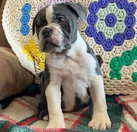 processed/c89a461f-9cf2-41b4-8a1a-70f40246d27d/listing/8125d6fc-fe77-48e3-9921-7f0254dc85c9/4af5a609-d281-4e81-9573-7b11703cb617