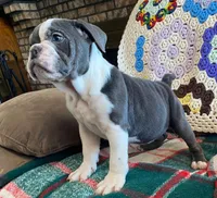 processed/c89a461f-9cf2-41b4-8a1a-70f40246d27d/listing/8125d6fc-fe77-48e3-9921-7f0254dc85c9/d72aef13-8284-466f-84da-7117deed6bb3