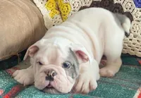 processed/c89a461f-9cf2-41b4-8a1a-70f40246d27d/listing/8a60c8d3-3d33-4b40-bb69-543faed1a436/06850e50-987e-4cc9-9cea-211ef4934752