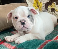 processed/c89a461f-9cf2-41b4-8a1a-70f40246d27d/listing/8a60c8d3-3d33-4b40-bb69-543faed1a436/0cc7e3af-0026-4d98-8e48-8c40cc6f727e