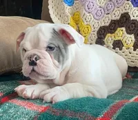 processed/c89a461f-9cf2-41b4-8a1a-70f40246d27d/listing/8a60c8d3-3d33-4b40-bb69-543faed1a436/1cc84d8f-cb72-4b61-95b1-27aff1d3fcb9