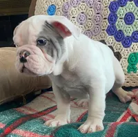 processed/c89a461f-9cf2-41b4-8a1a-70f40246d27d/listing/8a60c8d3-3d33-4b40-bb69-543faed1a436/95d09d7d-c0af-48b7-923b-c7fefd7ee63c