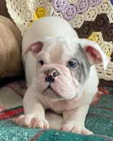 processed/c89a461f-9cf2-41b4-8a1a-70f40246d27d/listing/8a60c8d3-3d33-4b40-bb69-543faed1a436/d582486a-9e1e-4459-b79c-369062551232