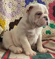 processed/c89a461f-9cf2-41b4-8a1a-70f40246d27d/listing/8a60c8d3-3d33-4b40-bb69-543faed1a436/e2b83c03-264e-4e98-960c-5856e6923a79