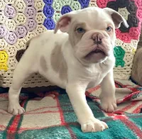 processed/c89a461f-9cf2-41b4-8a1a-70f40246d27d/listing/a0d4cc78-b324-451d-97b8-e58074c7bf4b/237d2af3-ce06-45bb-9eb0-79e494c8c162