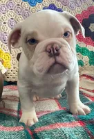 processed/c89a461f-9cf2-41b4-8a1a-70f40246d27d/listing/a0d4cc78-b324-451d-97b8-e58074c7bf4b/5e82771f-6dcb-40d7-a18f-178c4ced4a67