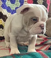 processed/c89a461f-9cf2-41b4-8a1a-70f40246d27d/listing/a0d4cc78-b324-451d-97b8-e58074c7bf4b/e0240c28-7cbb-4f56-93e5-8e0d64533fb0