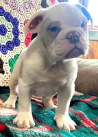 processed/c89a461f-9cf2-41b4-8a1a-70f40246d27d/listing/a0d4cc78-b324-451d-97b8-e58074c7bf4b/f55fdfe7-2f47-4ca4-8759-cd4f8cfa502c