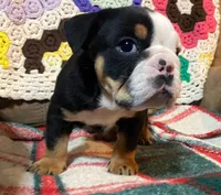 processed/c89a461f-9cf2-41b4-8a1a-70f40246d27d/listing/a7ac7215-e03f-4500-9538-b297e1b8cec3/74ae5059-6437-4b66-9a22-c5cb1fea2e50