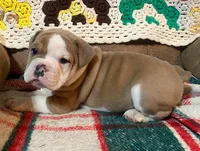 processed/c89a461f-9cf2-41b4-8a1a-70f40246d27d/listing/ab7dbeef-739d-4b4b-950a-9680c0eaf01e/45c677fe-61a0-4a86-9ae6-4d95a32698a7