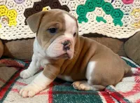 processed/c89a461f-9cf2-41b4-8a1a-70f40246d27d/listing/ab7dbeef-739d-4b4b-950a-9680c0eaf01e/475700a7-0b28-4fbd-bbf0-ddf67a3f3de8