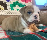 processed/c89a461f-9cf2-41b4-8a1a-70f40246d27d/listing/ab7dbeef-739d-4b4b-950a-9680c0eaf01e/c3ac20d8-347c-4dd4-afa8-8e625e932081