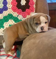 processed/c89a461f-9cf2-41b4-8a1a-70f40246d27d/listing/ab7dbeef-739d-4b4b-950a-9680c0eaf01e/d76a0c3b-616f-48b9-a0f8-df0edf137589