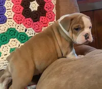 processed/c89a461f-9cf2-41b4-8a1a-70f40246d27d/listing/ab7dbeef-739d-4b4b-950a-9680c0eaf01e/ee849266-ab4f-4631-91af-b9ab70a39a25