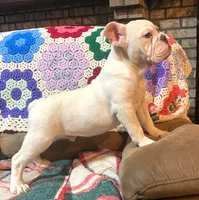 processed/c89a461f-9cf2-41b4-8a1a-70f40246d27d/listing/b044444a-0ce1-4291-81c3-5e9eb2bd1dff/04914e86-7d5b-4518-96fd-126a6d40188c