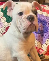 processed/c89a461f-9cf2-41b4-8a1a-70f40246d27d/listing/b044444a-0ce1-4291-81c3-5e9eb2bd1dff/1112a08c-baf7-4d7c-aa58-3597b7ba6feb