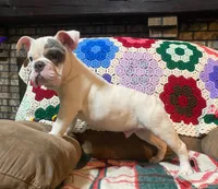 processed/c89a461f-9cf2-41b4-8a1a-70f40246d27d/listing/b044444a-0ce1-4291-81c3-5e9eb2bd1dff/2258c84a-cdae-4083-b22c-2355a8c4f3b6