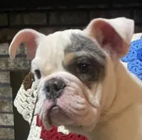 processed/c89a461f-9cf2-41b4-8a1a-70f40246d27d/listing/b044444a-0ce1-4291-81c3-5e9eb2bd1dff/552f38b5-c8b0-40ce-b259-ba849e8e9ea2